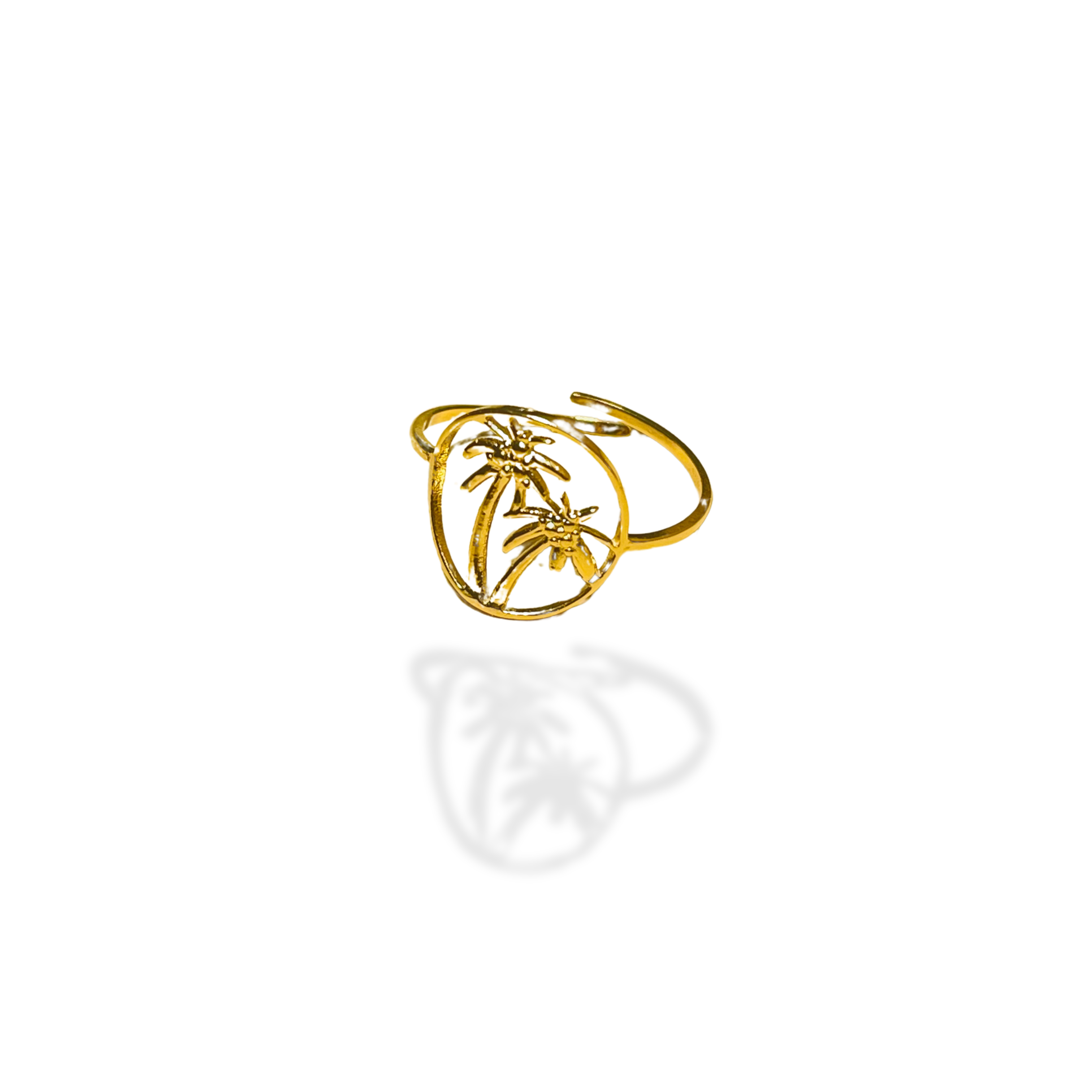 Anillo Dlo Coco