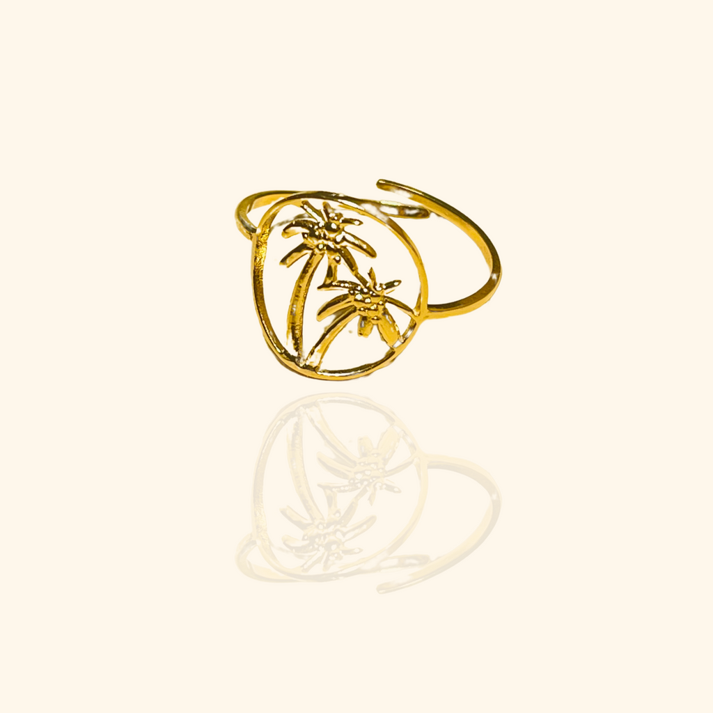 Anillo Dlo Coco
