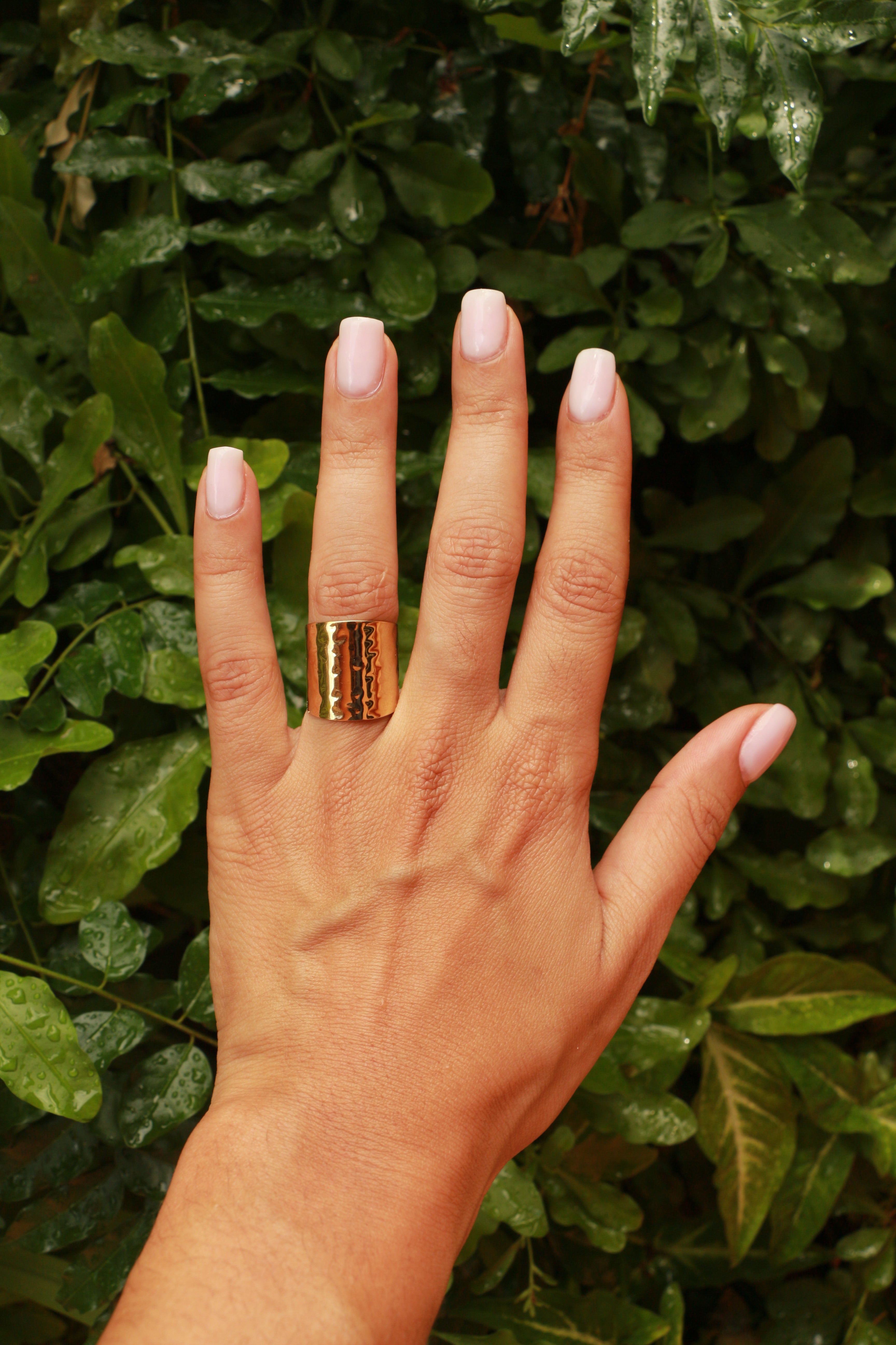 anillo de atenea