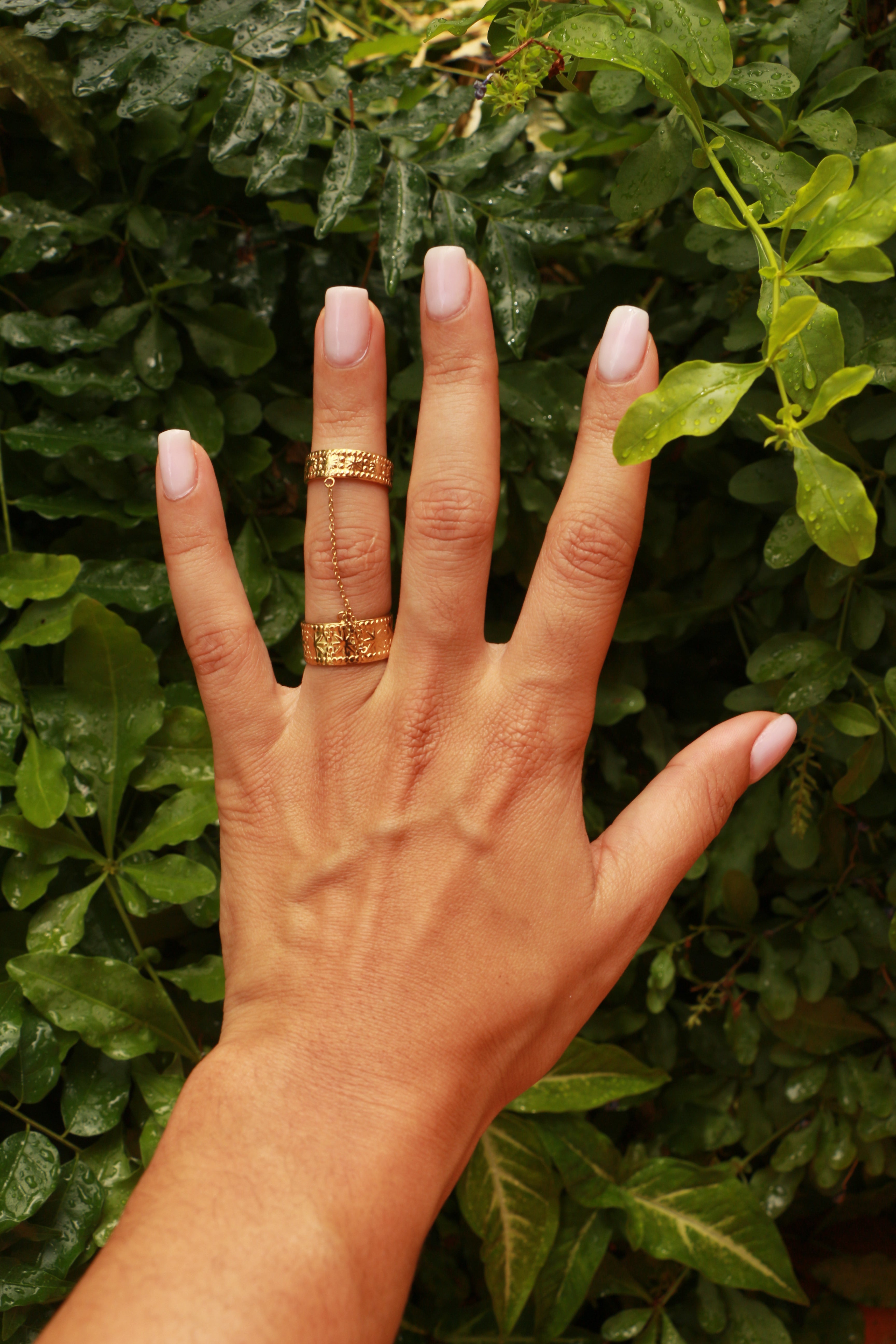 Anillo - Megara