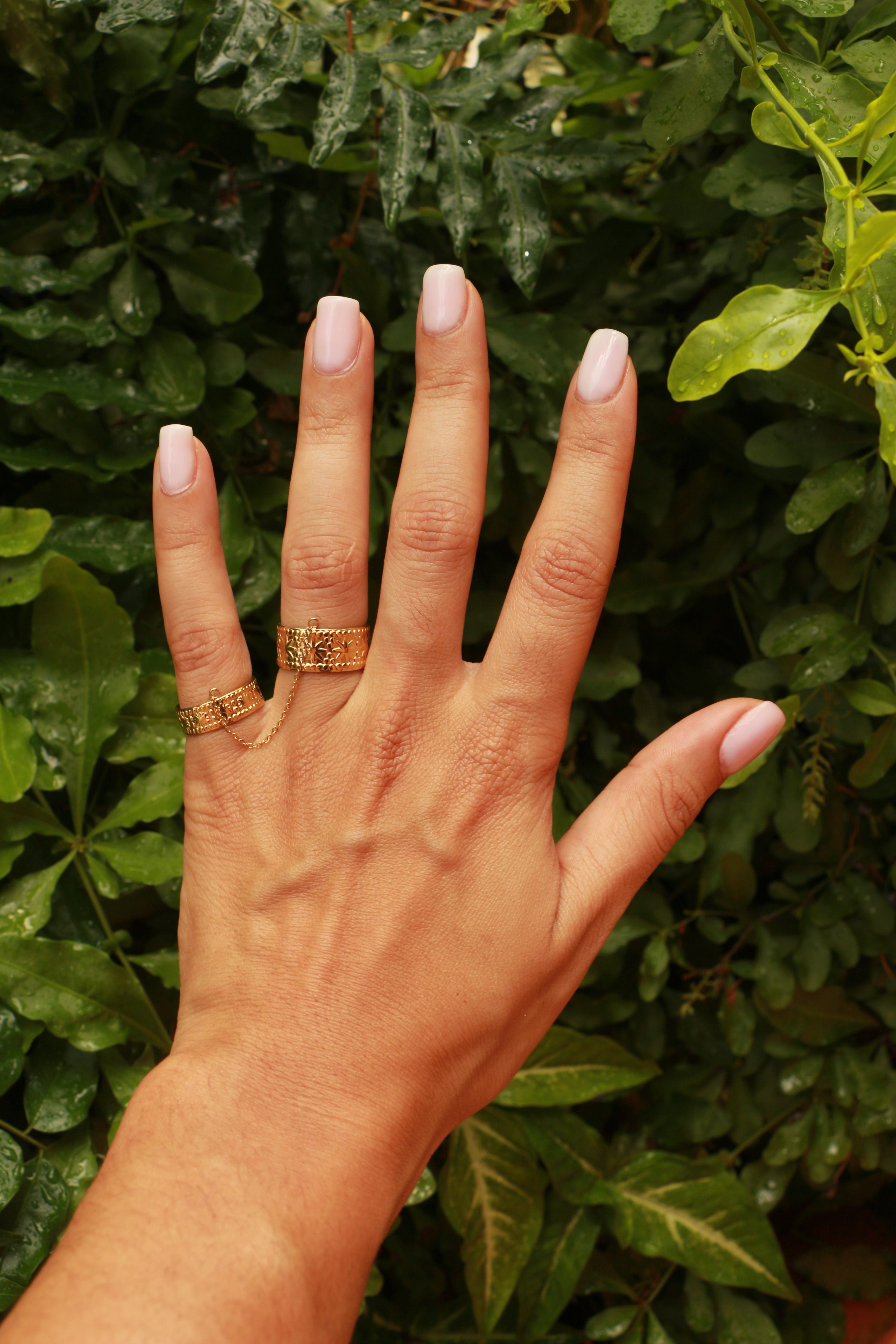 Anillo - Megara